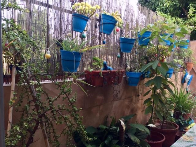 Apartamento Cool Garden Mairena del Aljarafe Exterior foto