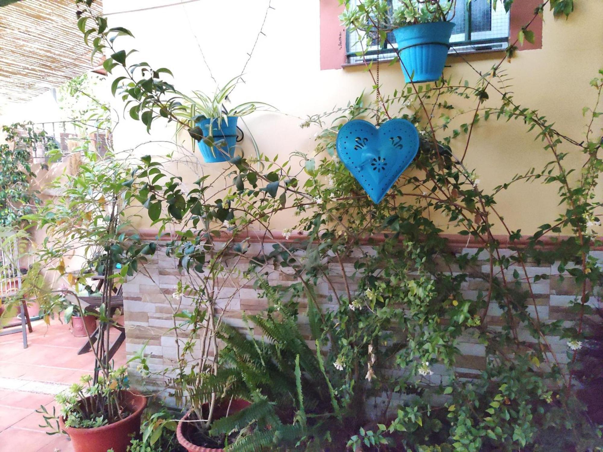 Apartamento Cool Garden Mairena del Aljarafe Exterior foto